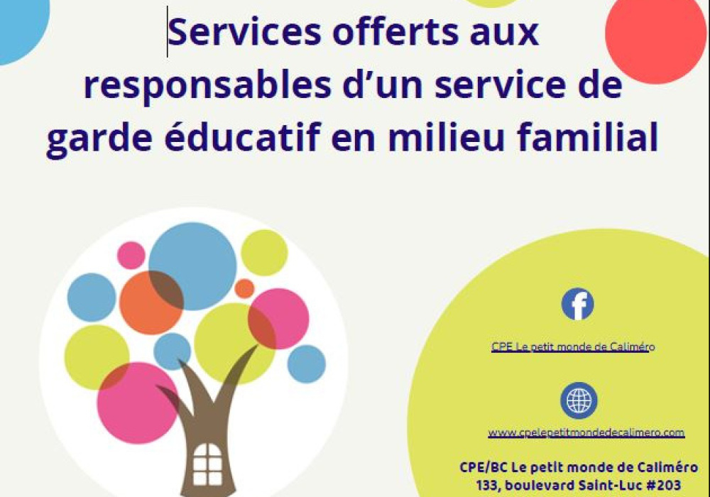 Services offerts aux RSGE